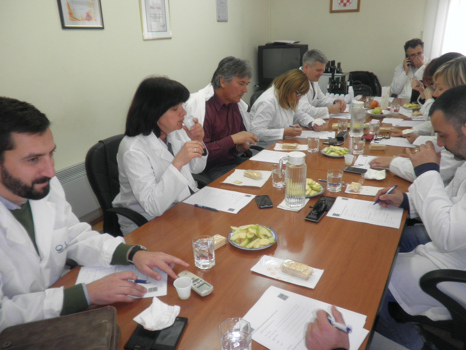 Panelisti ocjenjuju maslinova ulja.JPG
