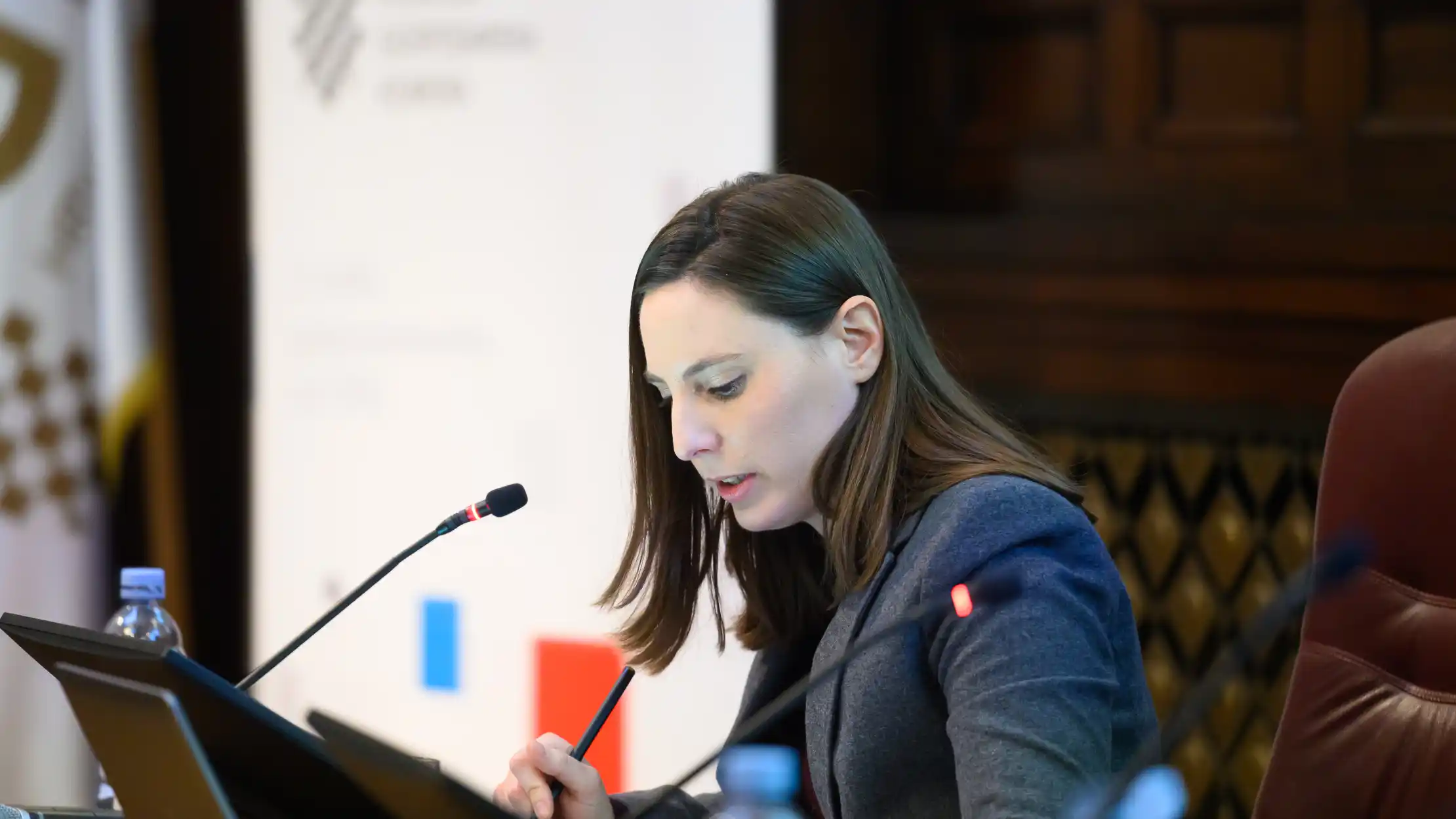 Ana Damjanović3.jpg