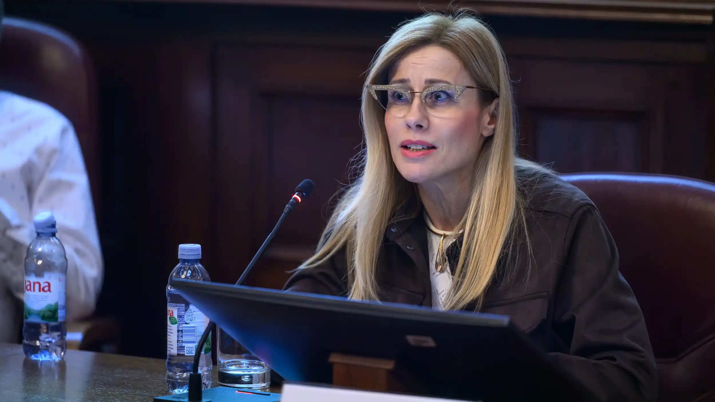 Heni Strčić.jpg