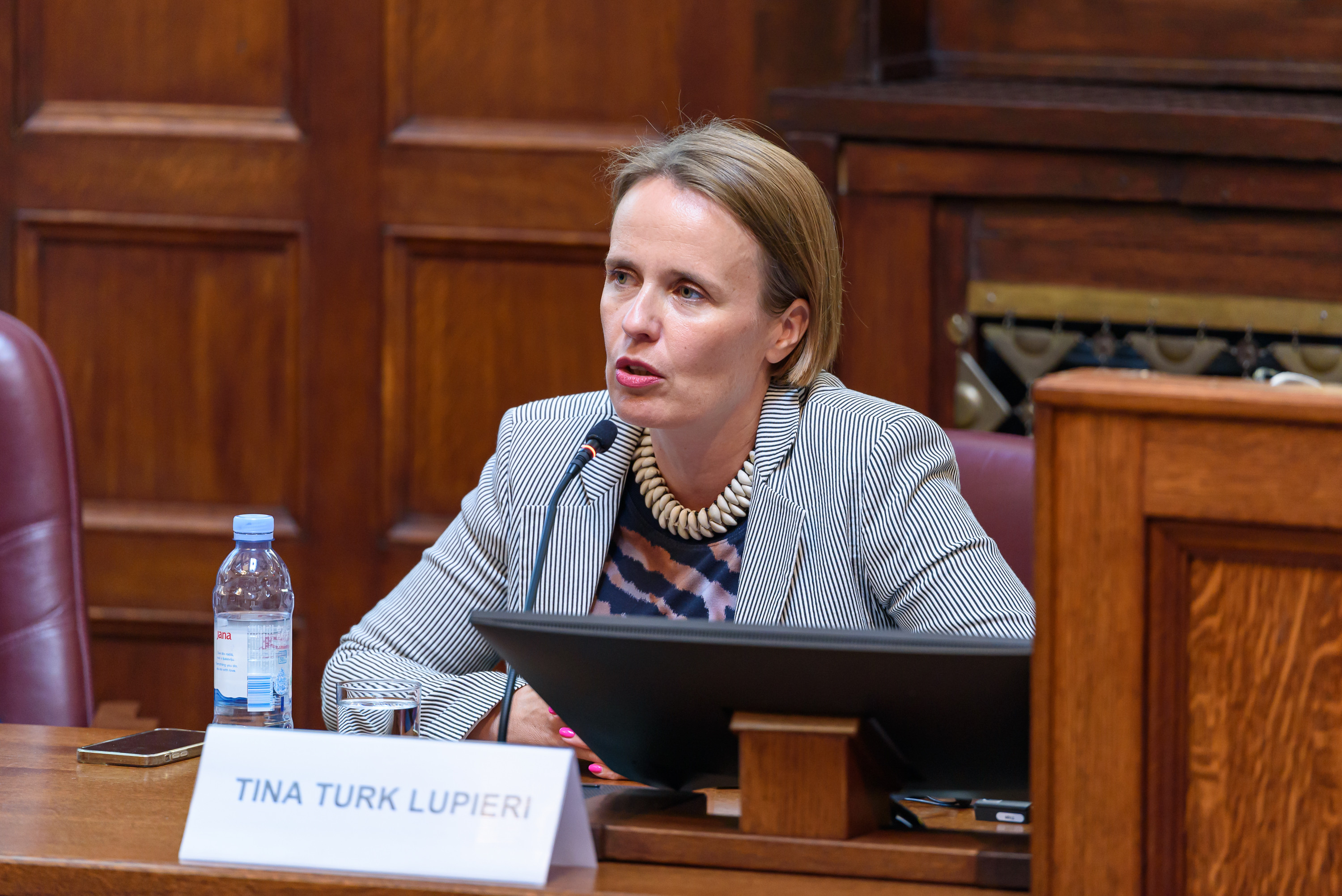 Tina Turk Lupieri2.jpg