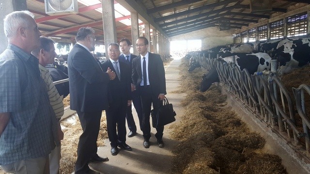 Vukovar_kineski_veleposlanik_farma.jpg
